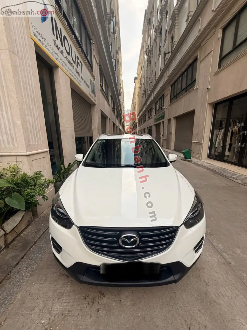 Hình ảnh số 10