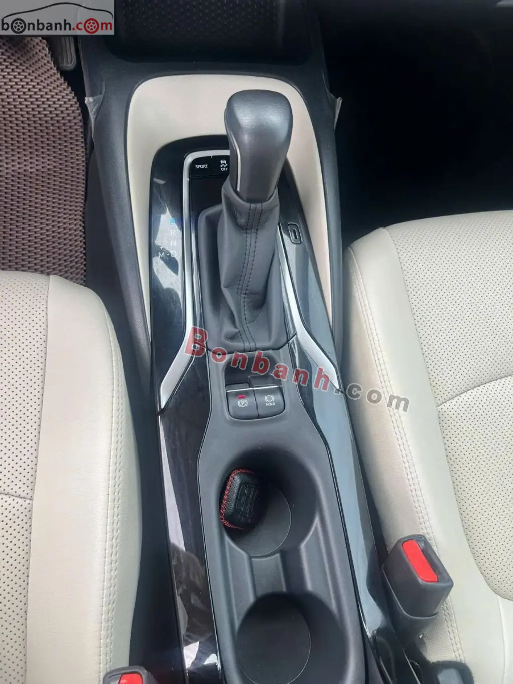 Hình ảnh số 7