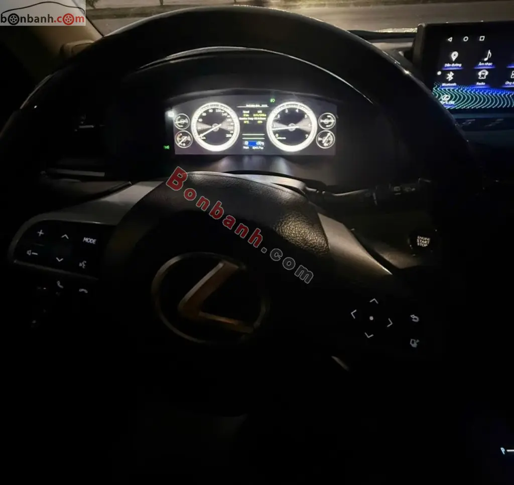 Hình ảnh số 2