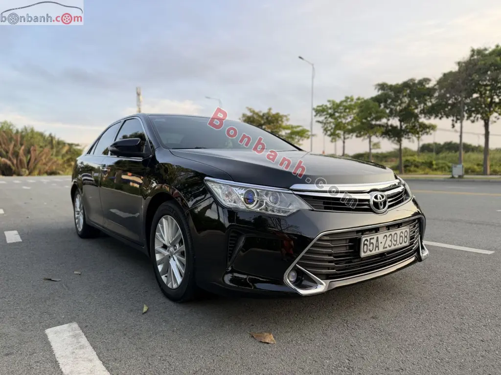 Hình ảnh số 2