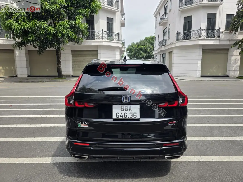 Hình ảnh số 3
