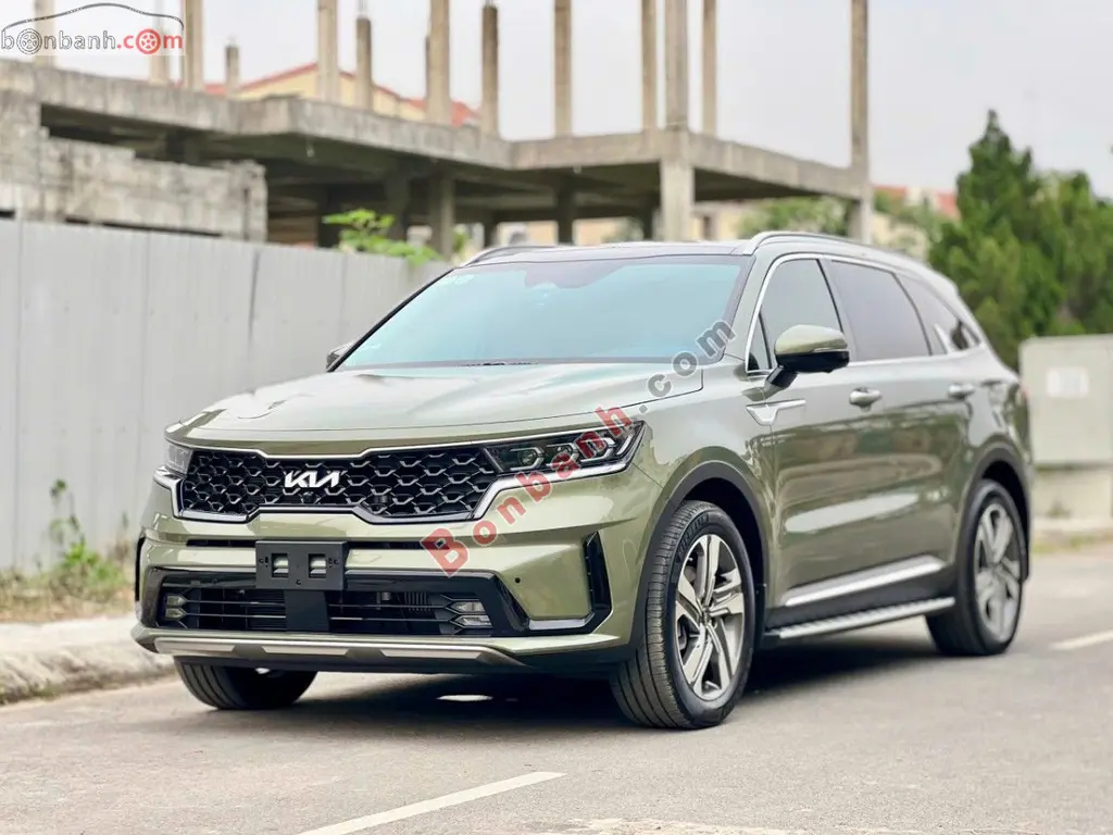 Hình ảnh số 2