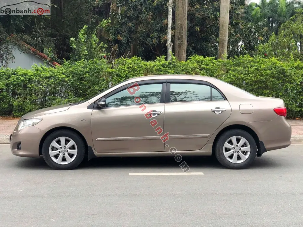 Hình ảnh số 2