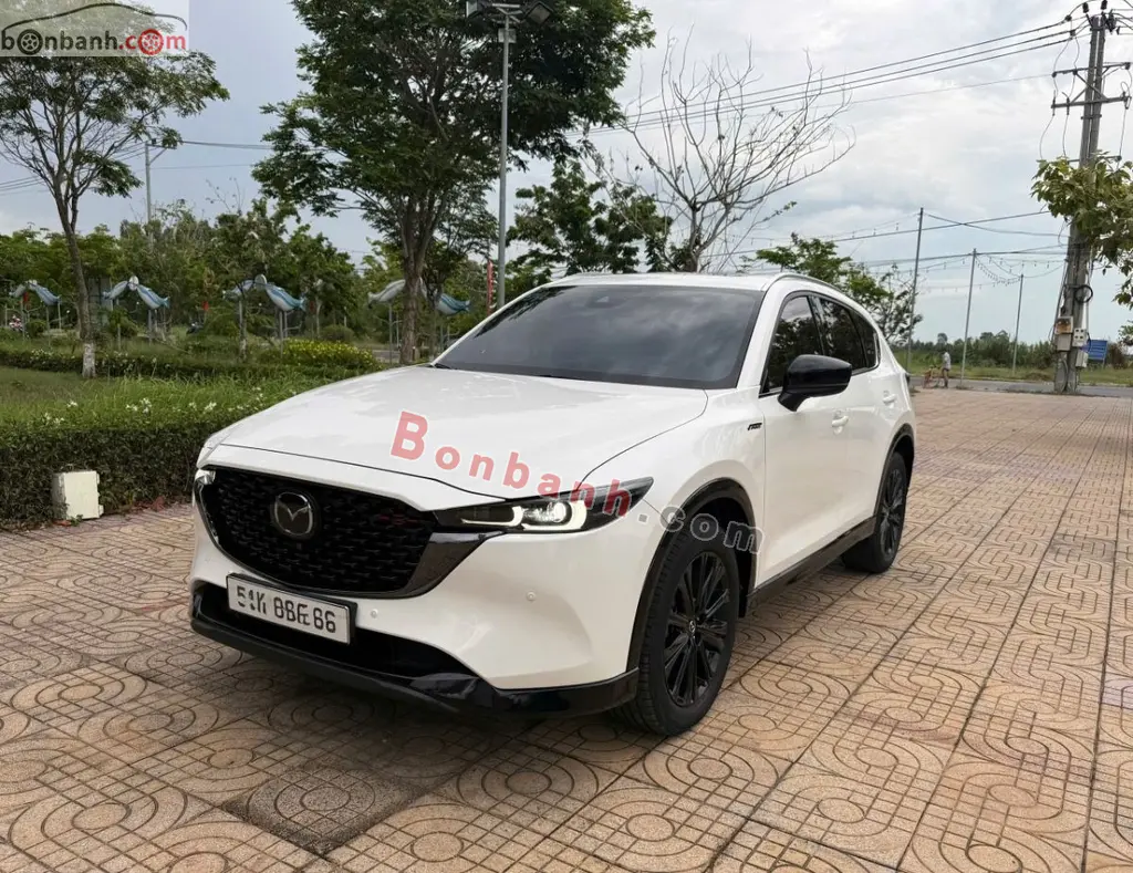 Hình ảnh số 2