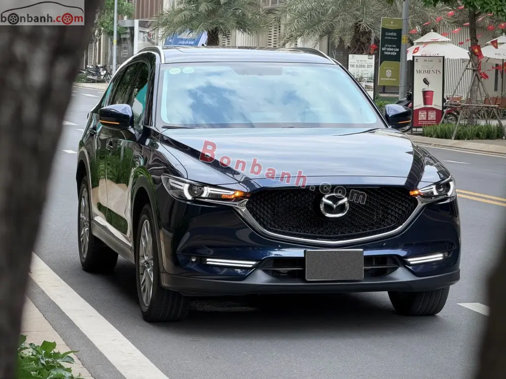 Hình ảnh số 2