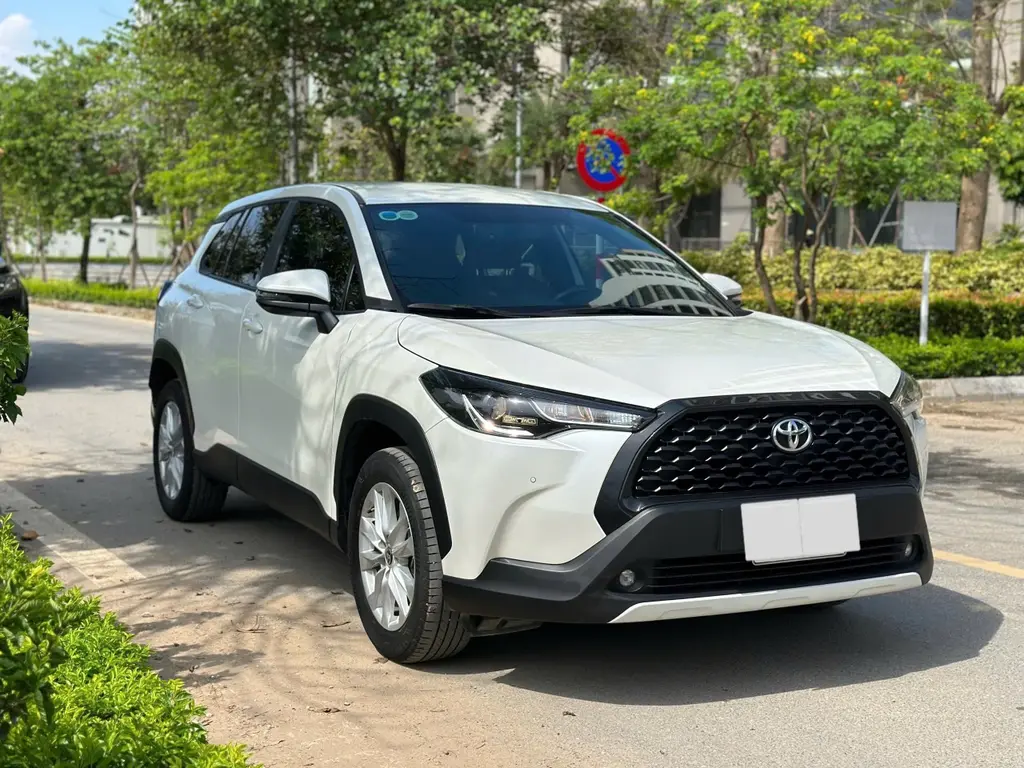 Hình ảnh số 2