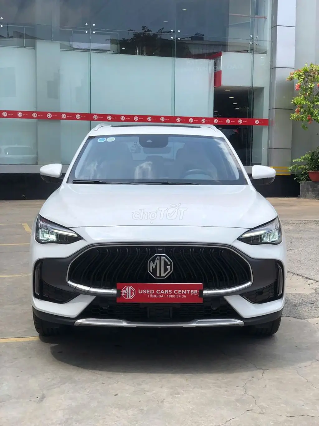 Hình ảnh số 4