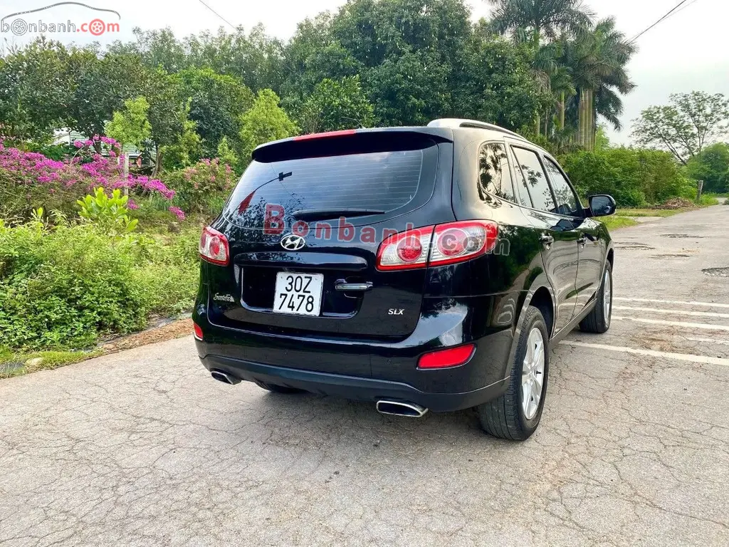 Hình ảnh số 2