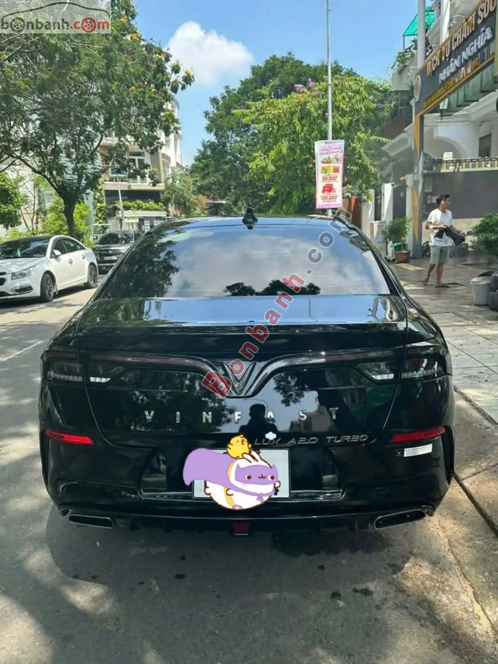 Hình ảnh số 3