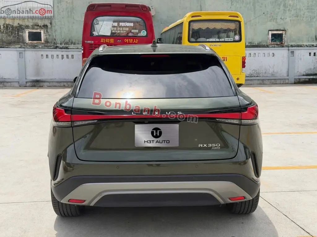 Hình ảnh số 10
