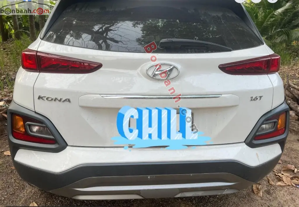 Hình ảnh số 2