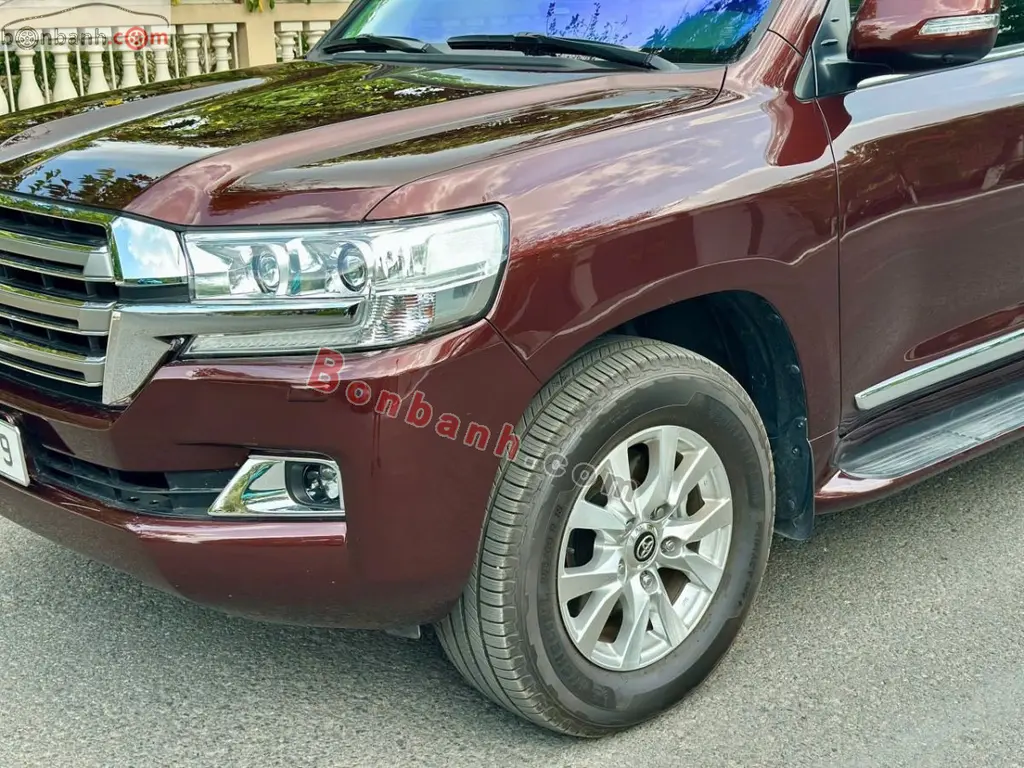 Hình ảnh số 2