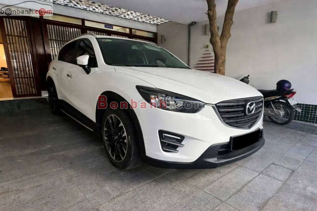 Hình ảnh số 3