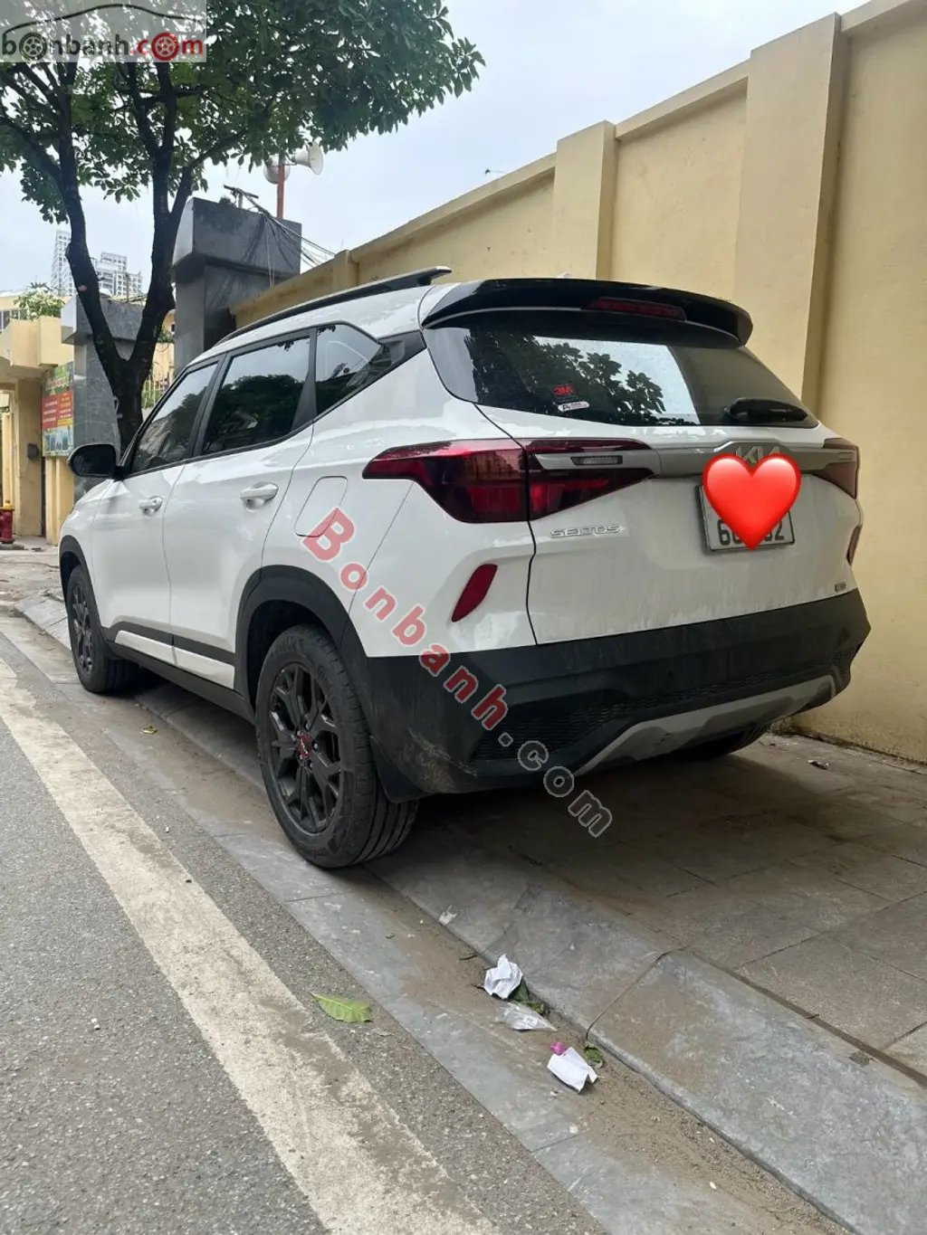 Hình ảnh số 2