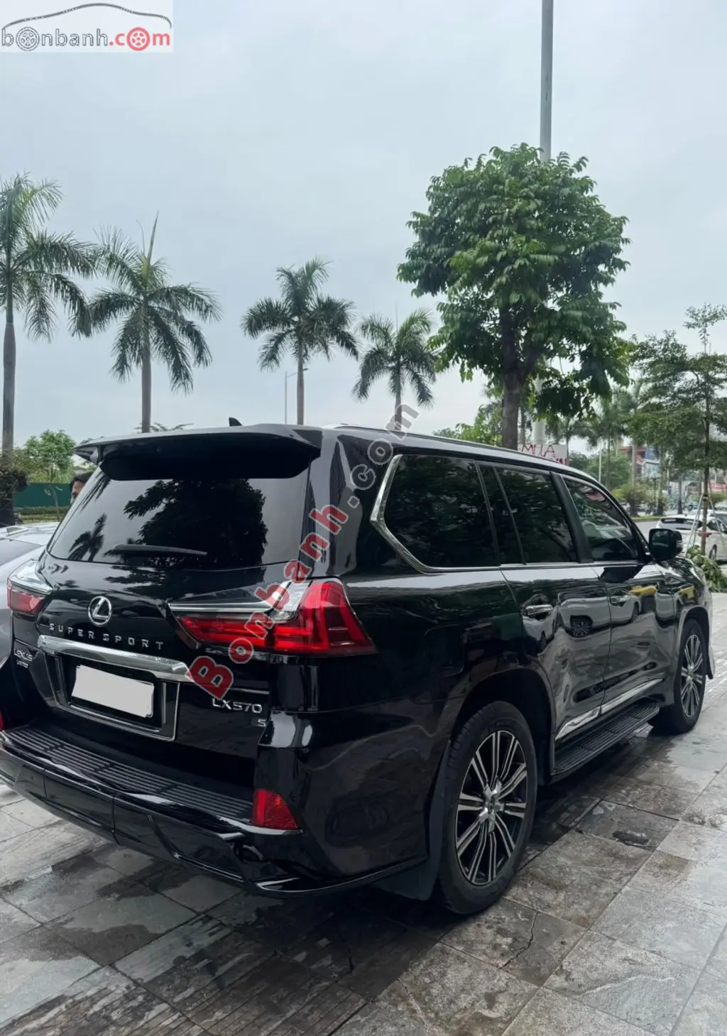 Hình ảnh số 5