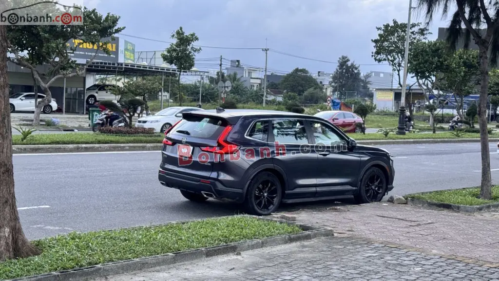 Hình ảnh số 2