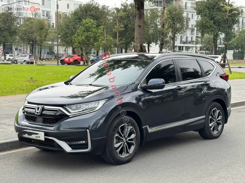 Hình ảnh số 2
