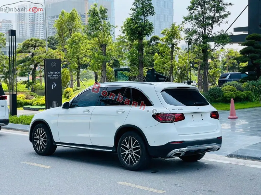 Hình ảnh số 4