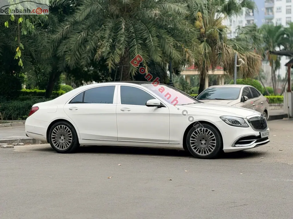 Hình ảnh số 2