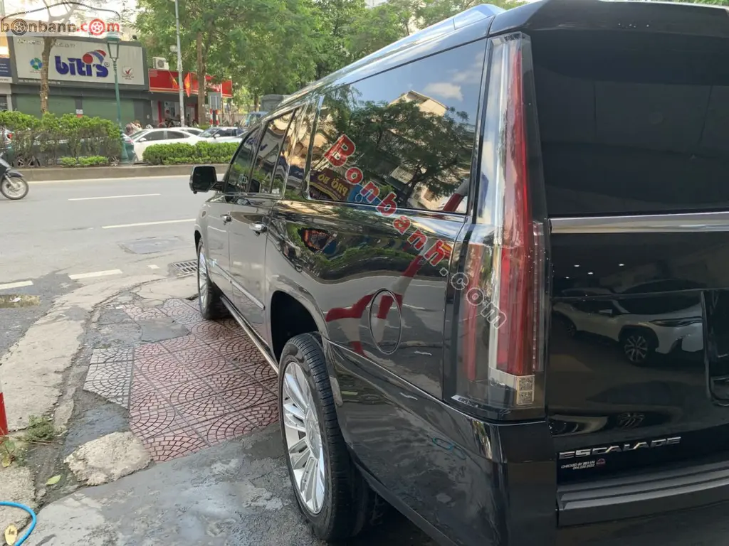 Hình ảnh số 9