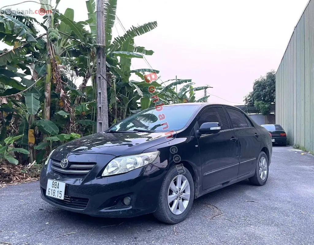Hình ảnh số 2