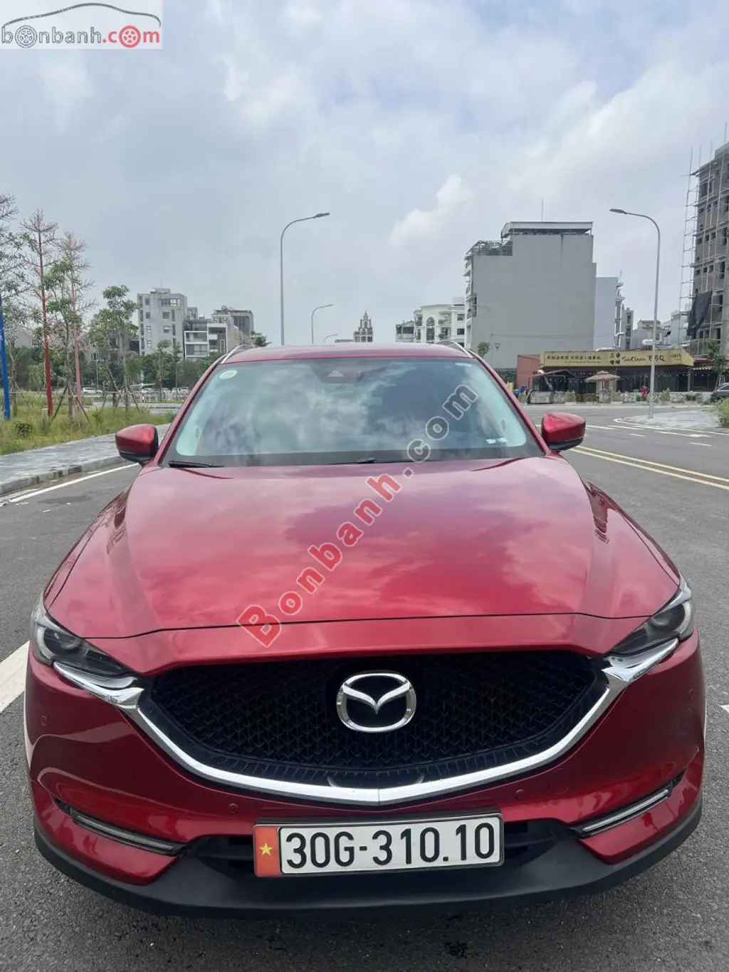 Hình ảnh số 10