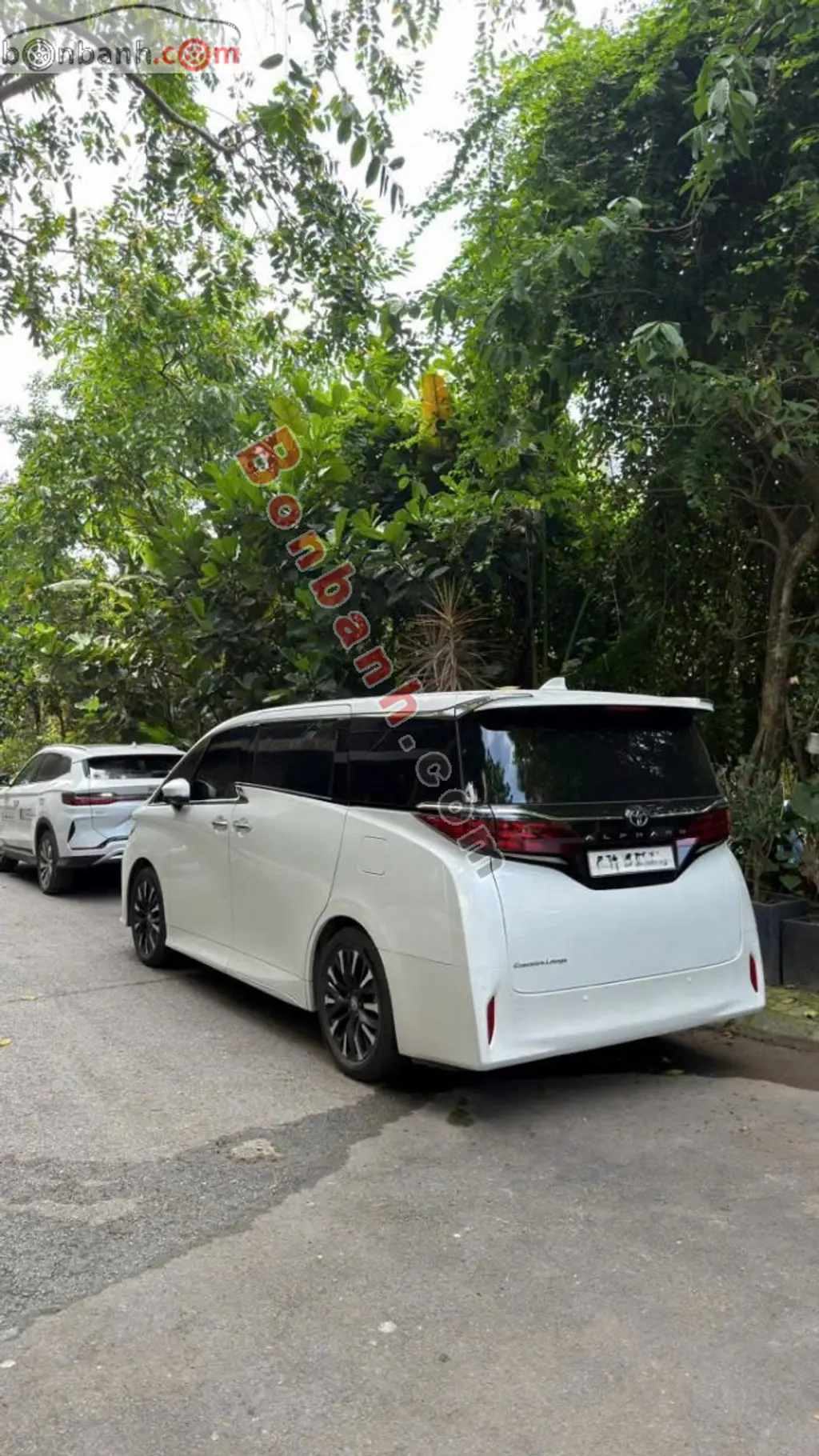 Hình ảnh số 5