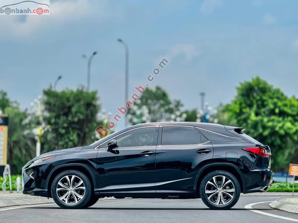 Hình ảnh số 6