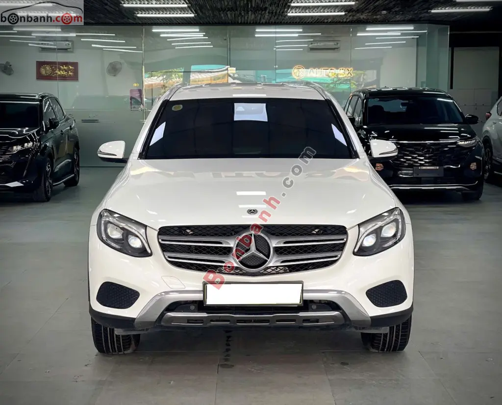 Hình ảnh số 2
