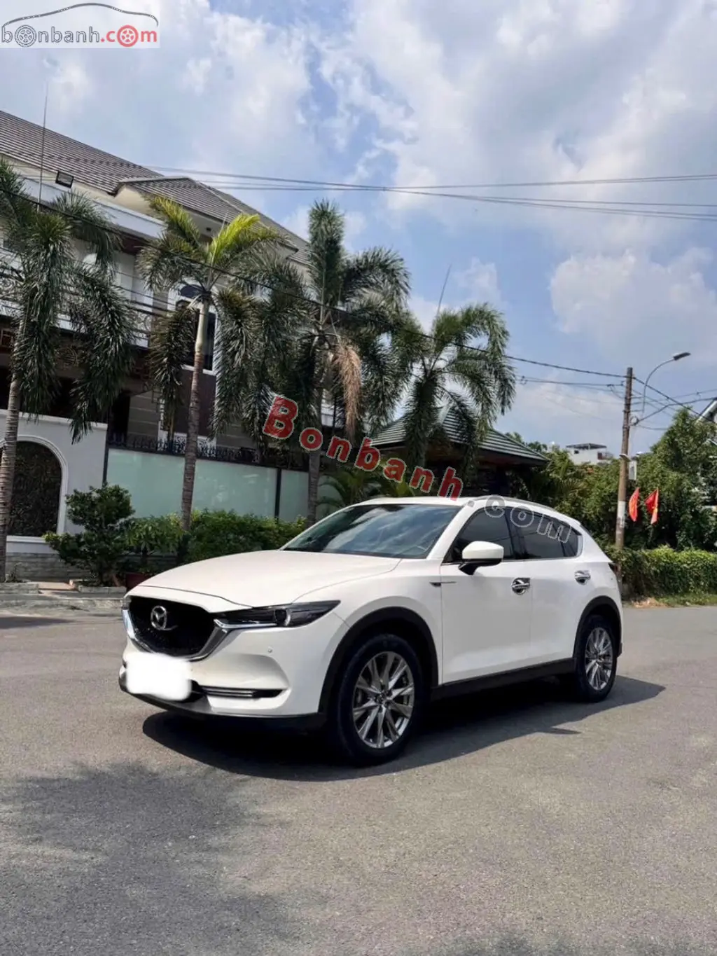Hình ảnh số 2