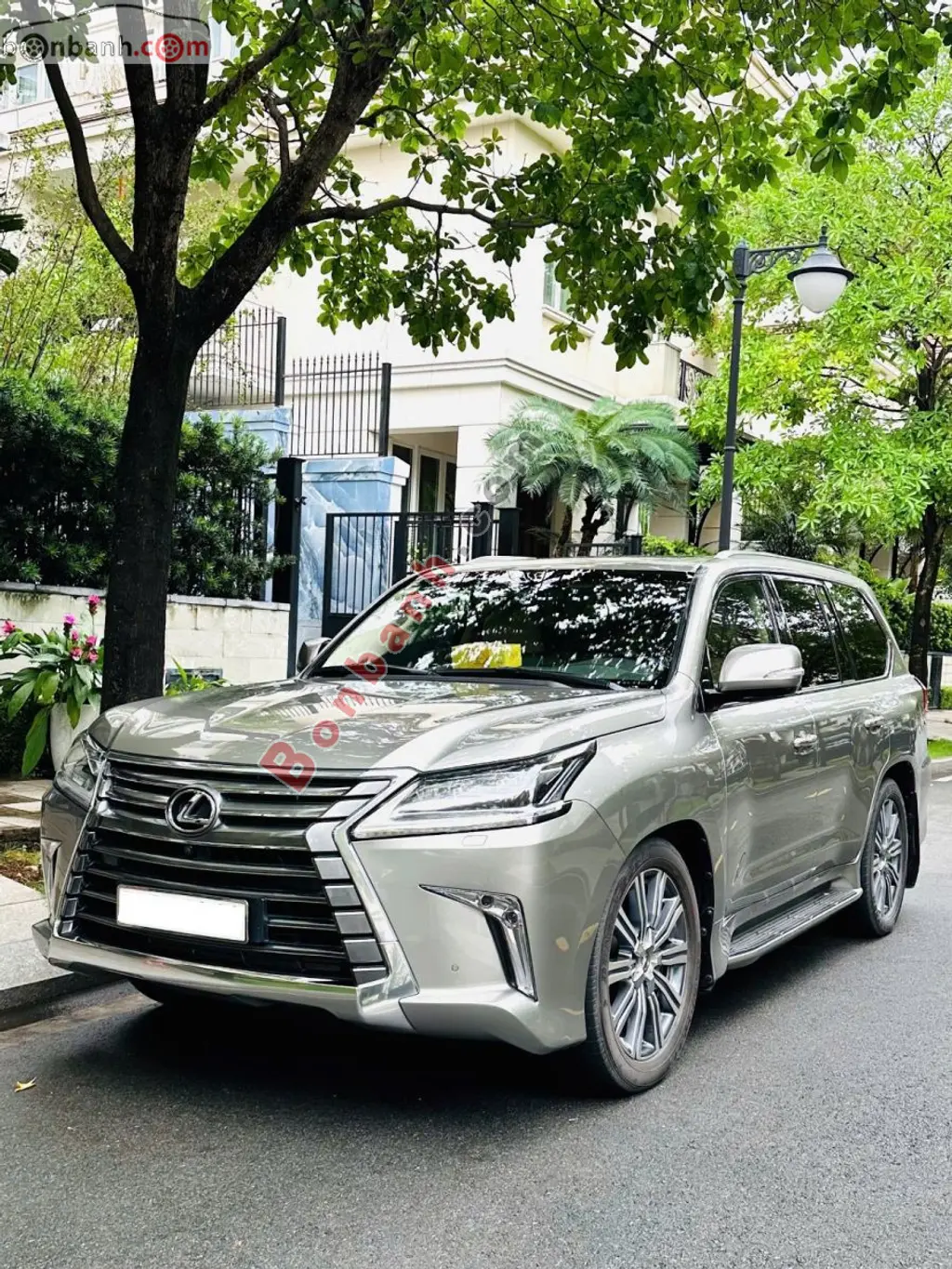 Hình ảnh số 2