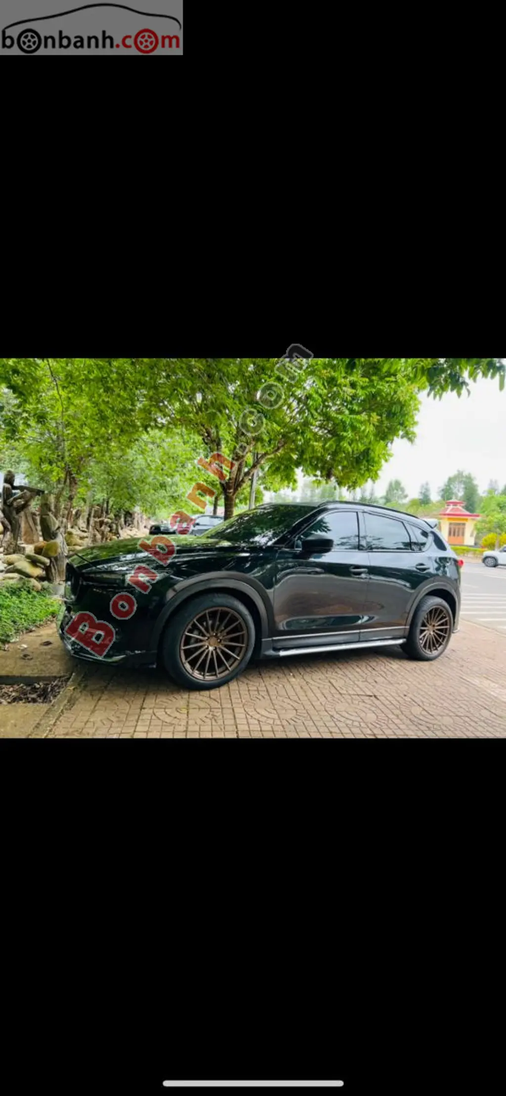 Hình ảnh số 2