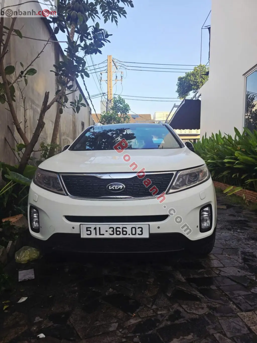 Hình ảnh số 4