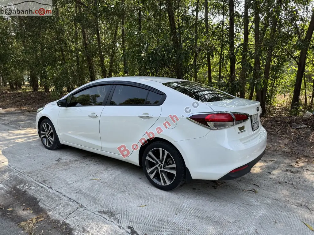 Hình ảnh số 2