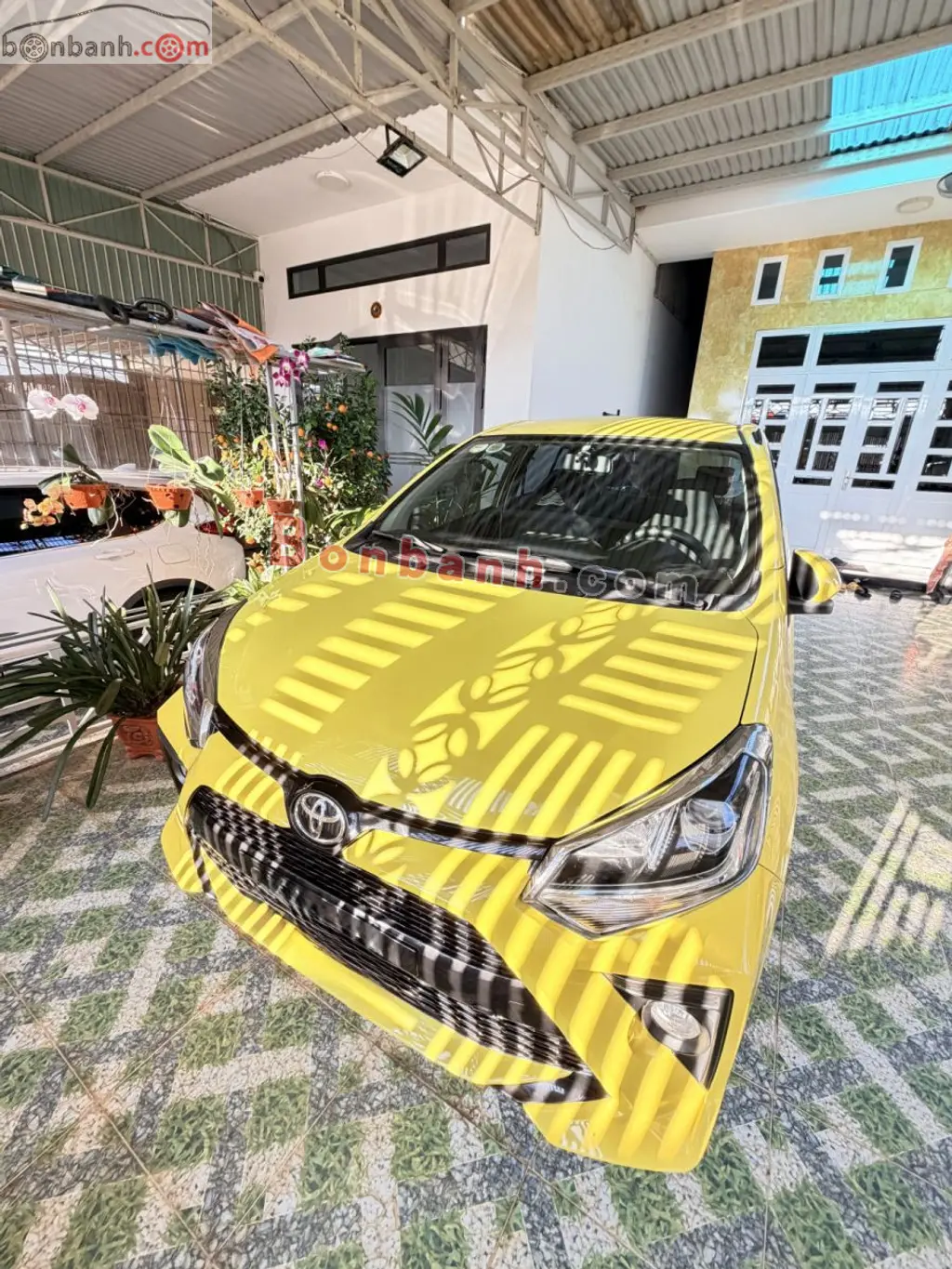 Hình ảnh số 2