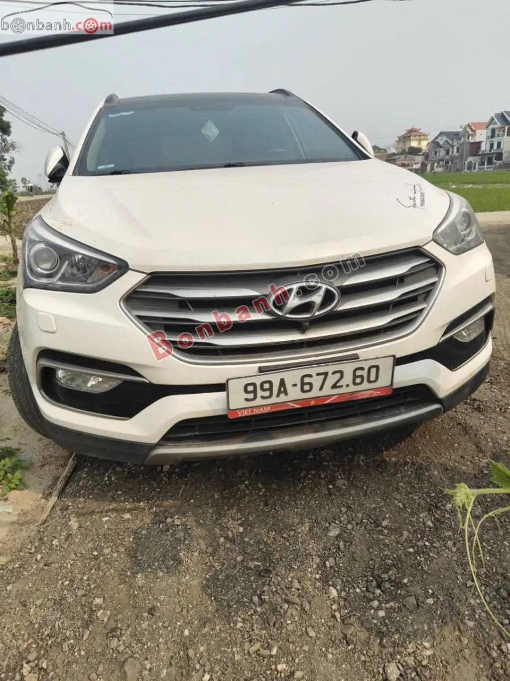 Hình ảnh số 2