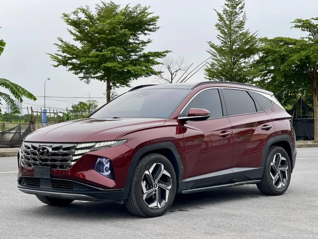 Hình ảnh số 2
