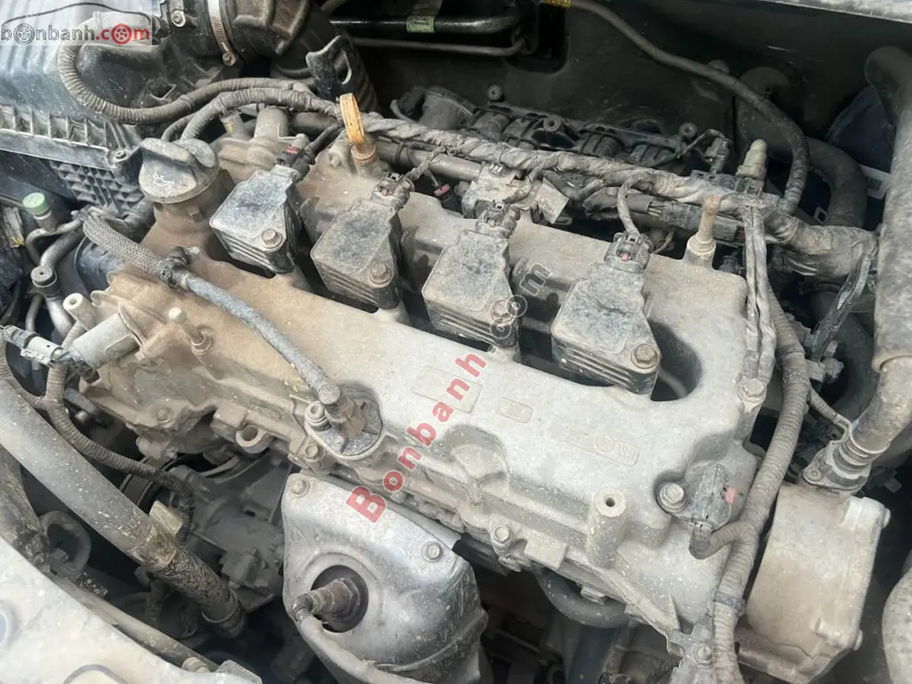 Hình ảnh số 10