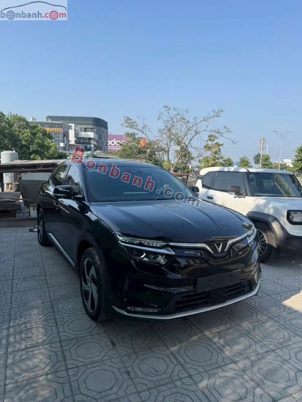 Hình ảnh số 2