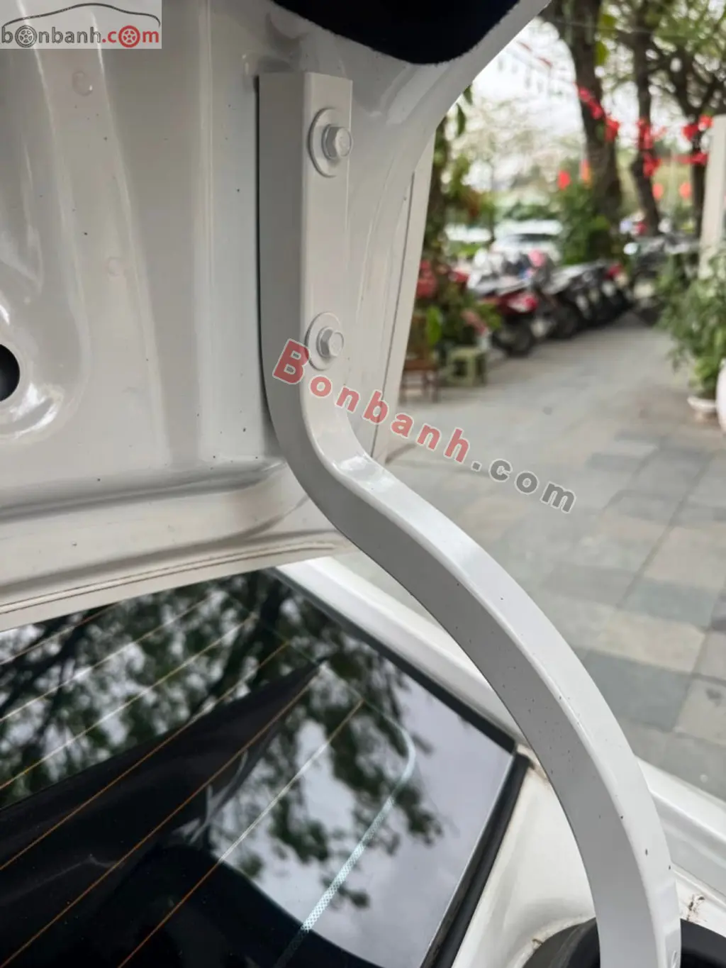 Hình ảnh số 8