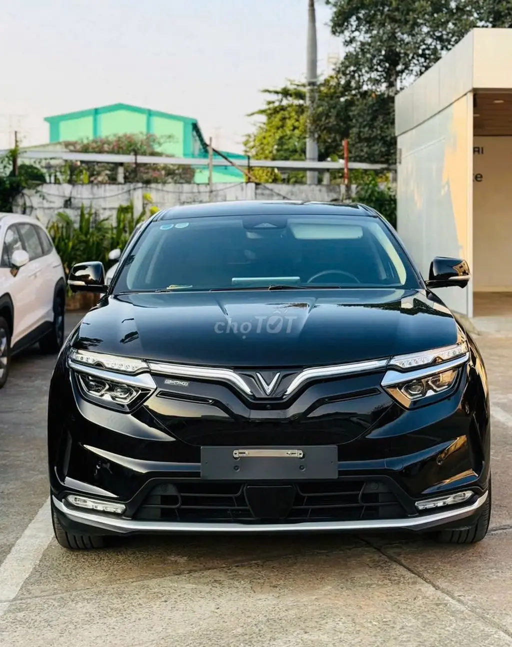 Hình ảnh số 6