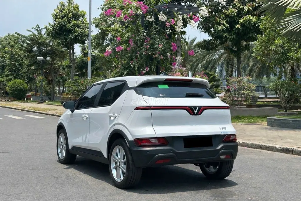 Hình ảnh số 4