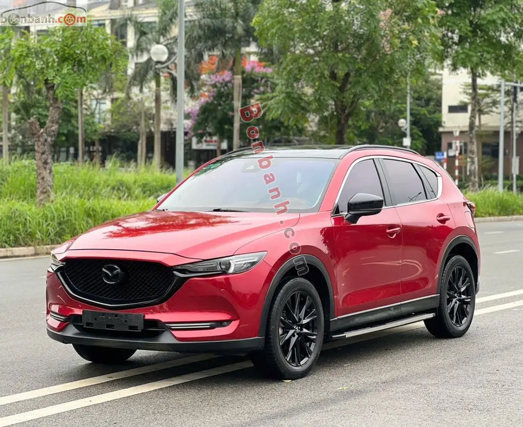 Hình ảnh số 2