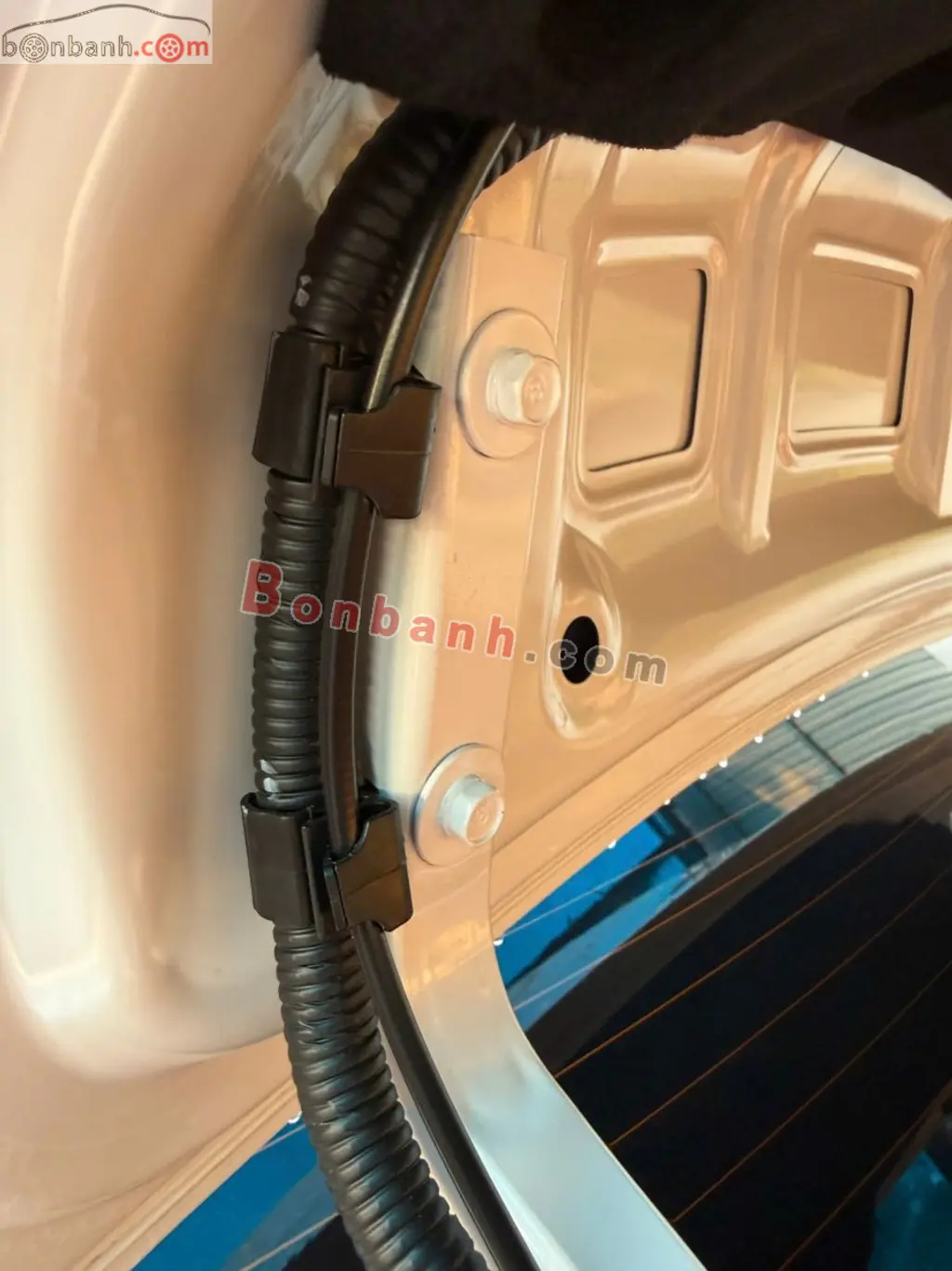 Hình ảnh số 6