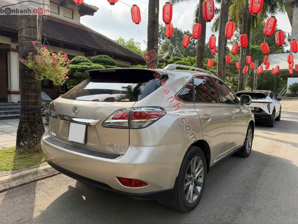 Hình ảnh số 5