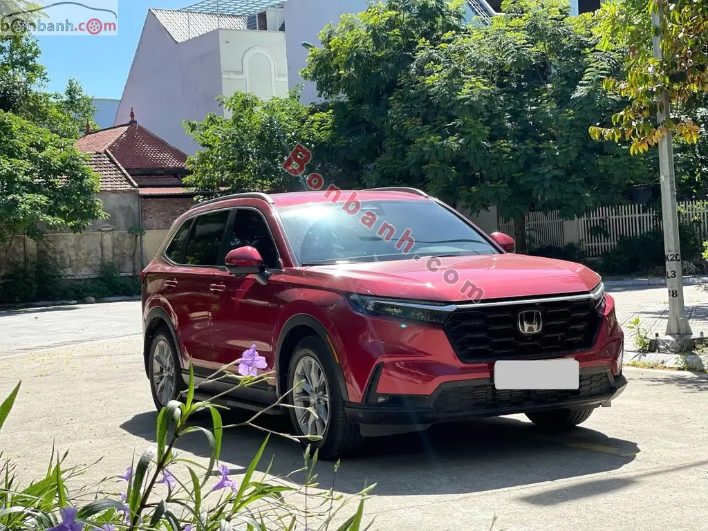 Hình ảnh số 3