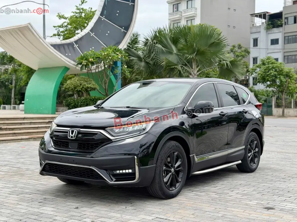 Hình ảnh số 2