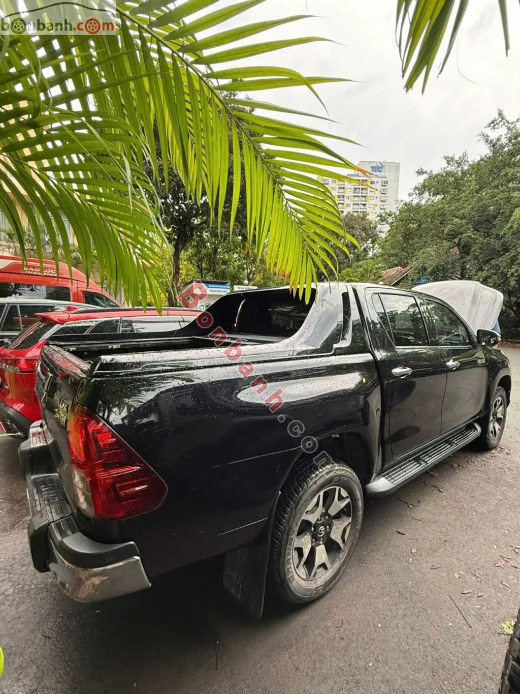 Hình ảnh số 8