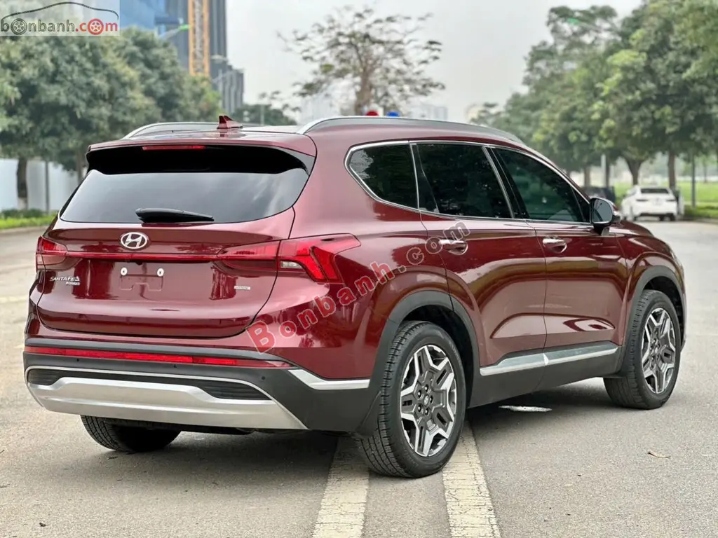 Hình ảnh số 3
