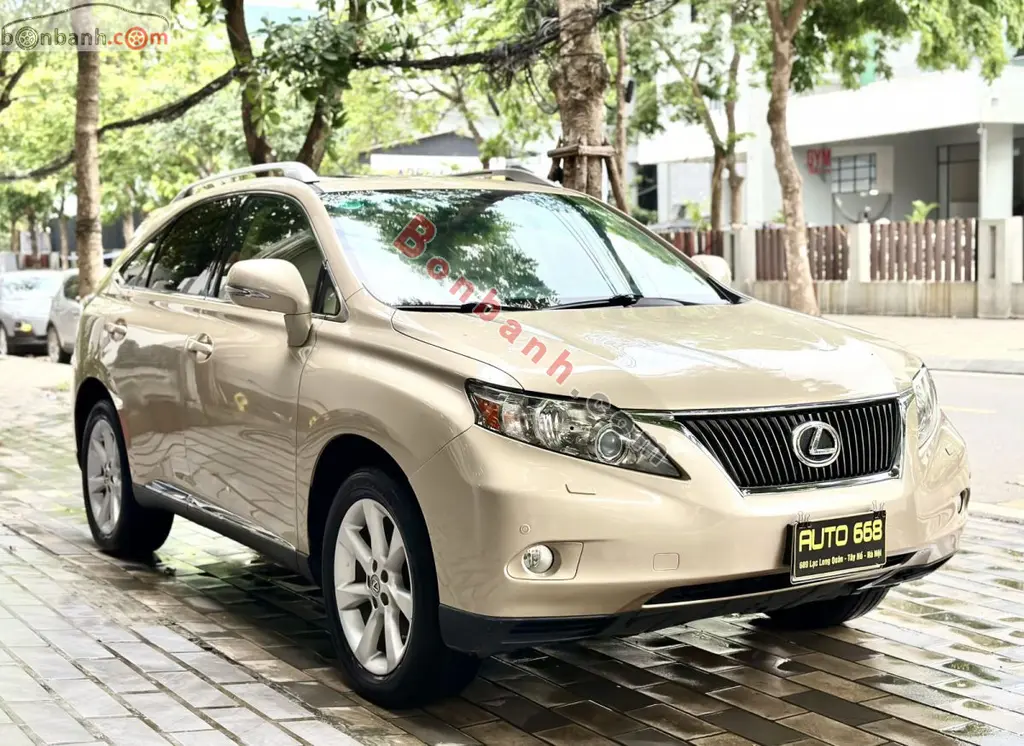 Hình ảnh số 2